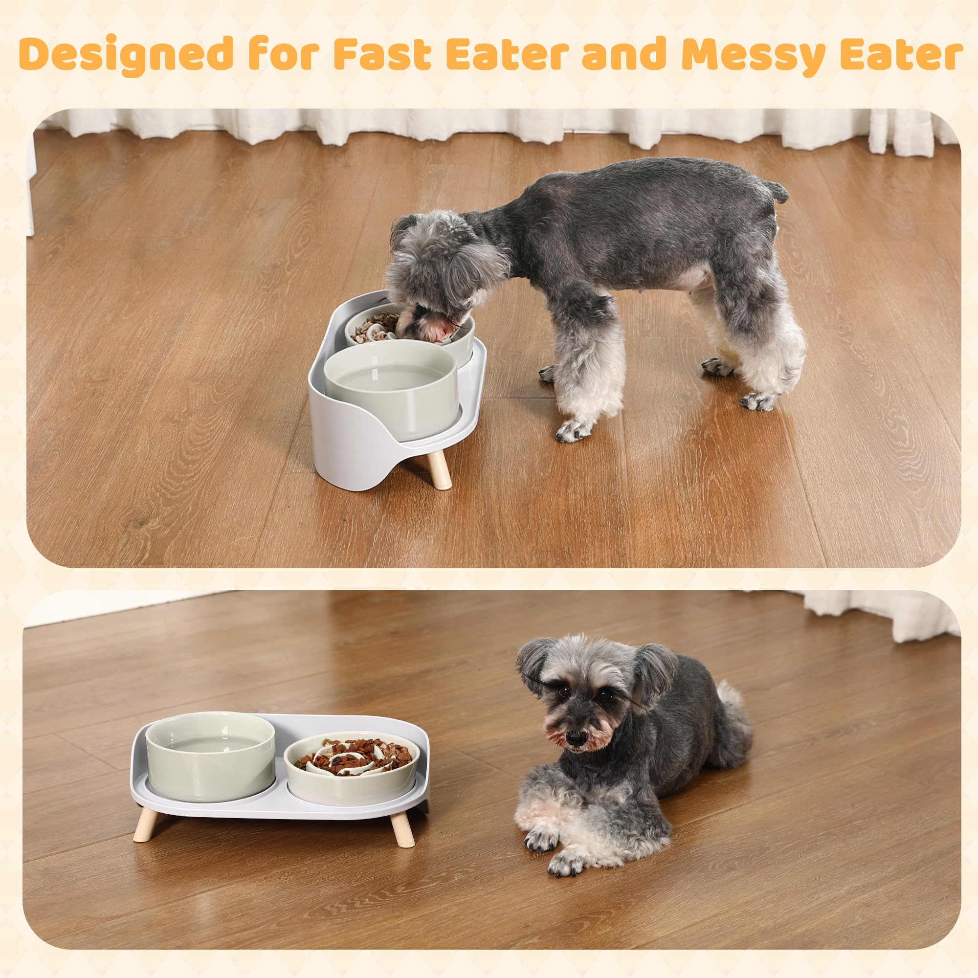 PTOBER multi-use dog bowl set fits dry, wet, or raw meals