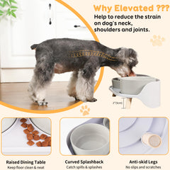 PTOBER raised dining stand promotes comfortable feeding posture