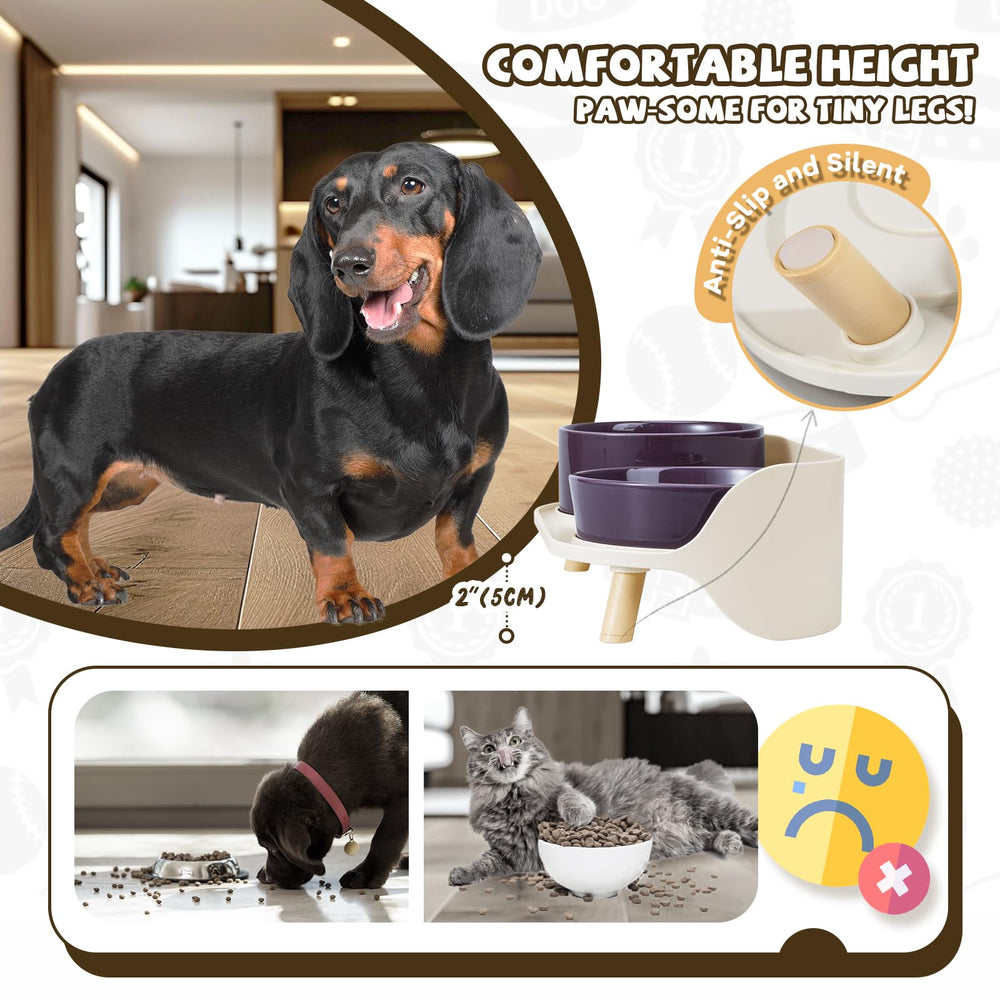 PTOBER splash-proof design prevents mess during meals.