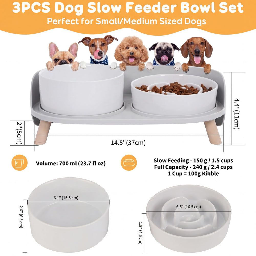 PTOBER raised feeder stand keeps dogs comfortable during meals.