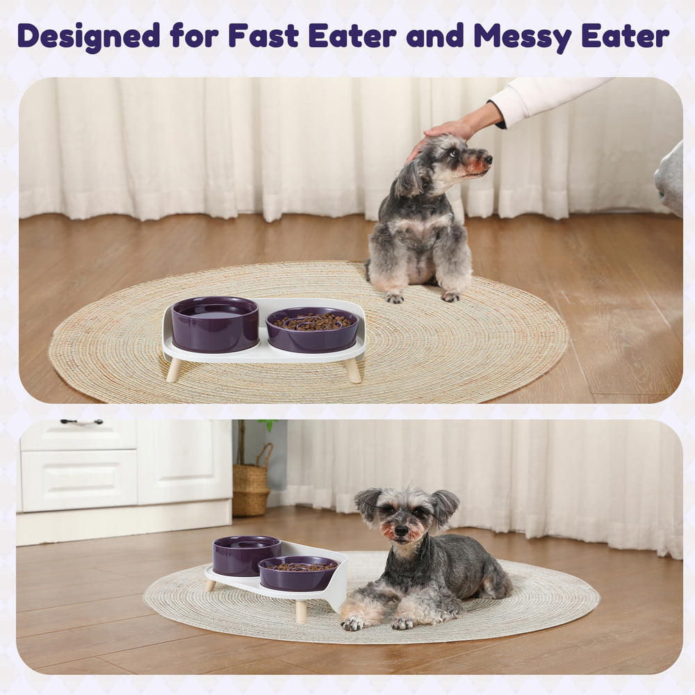 PTOBER raised bowls support a healthier neck posture during feeding.
