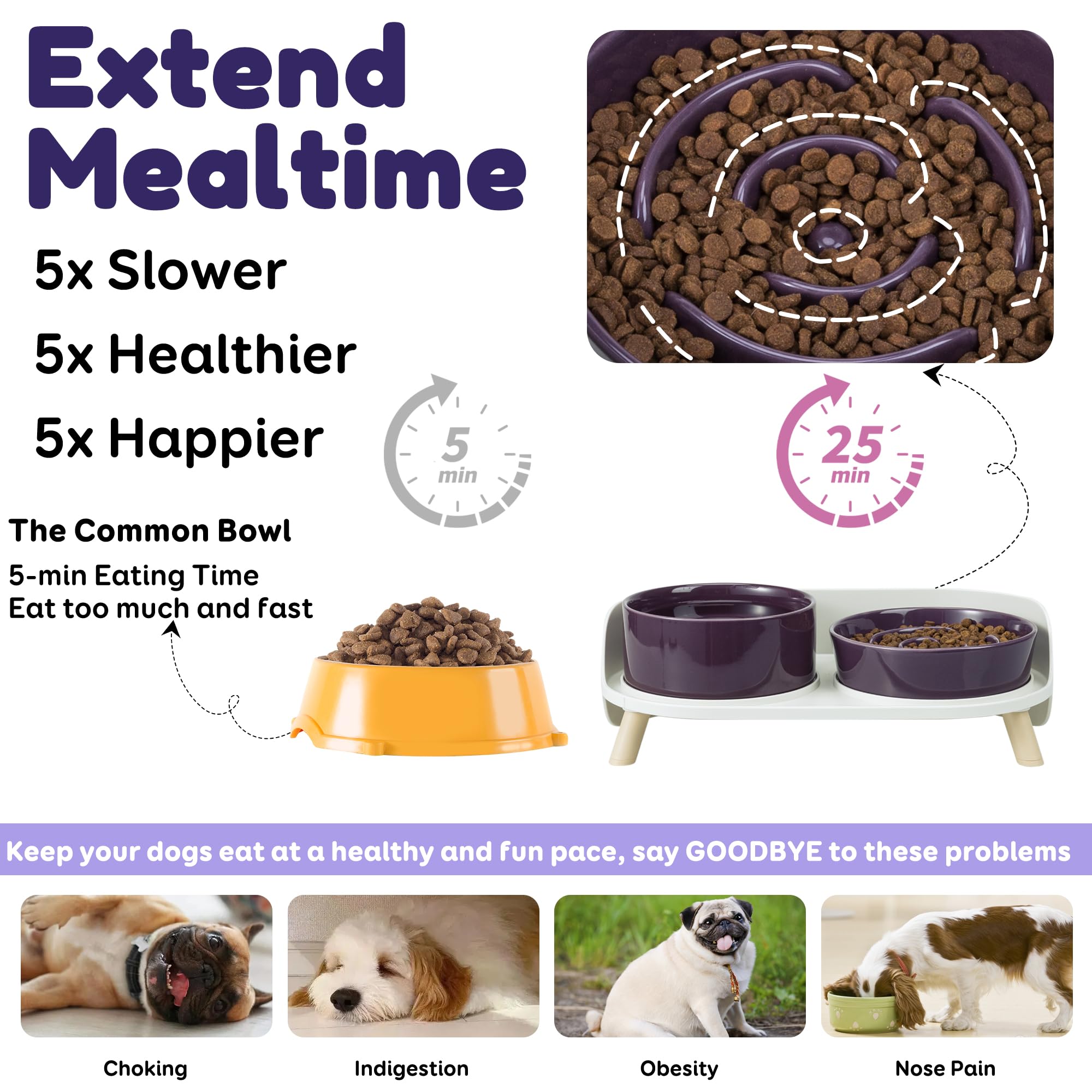 PTOBER raised stand with non-slip feet keeps bowls stable during meals.