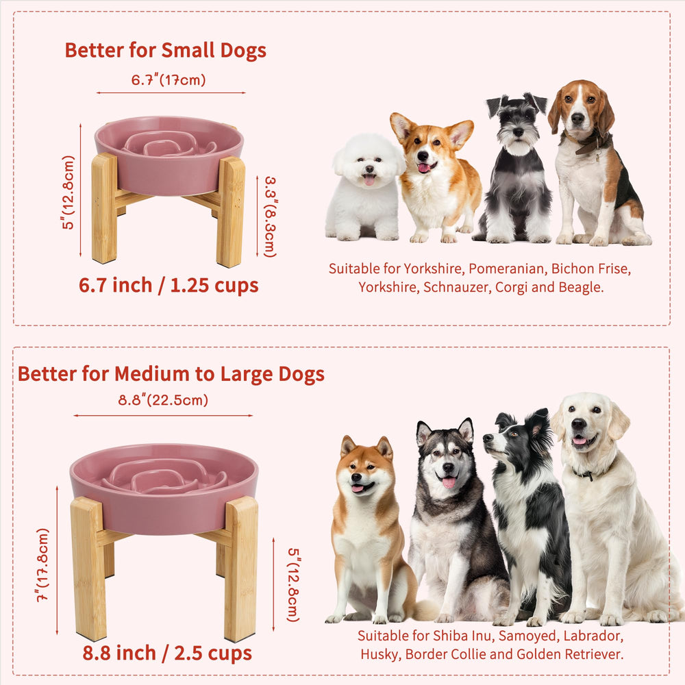 PTOBER shallow bowl depth suits shorter muzzled breeds comfortably