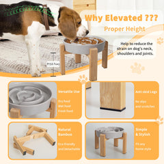 PTOBER bowl on bamboo stand demonstrates anti-slip feet for stable feeding.