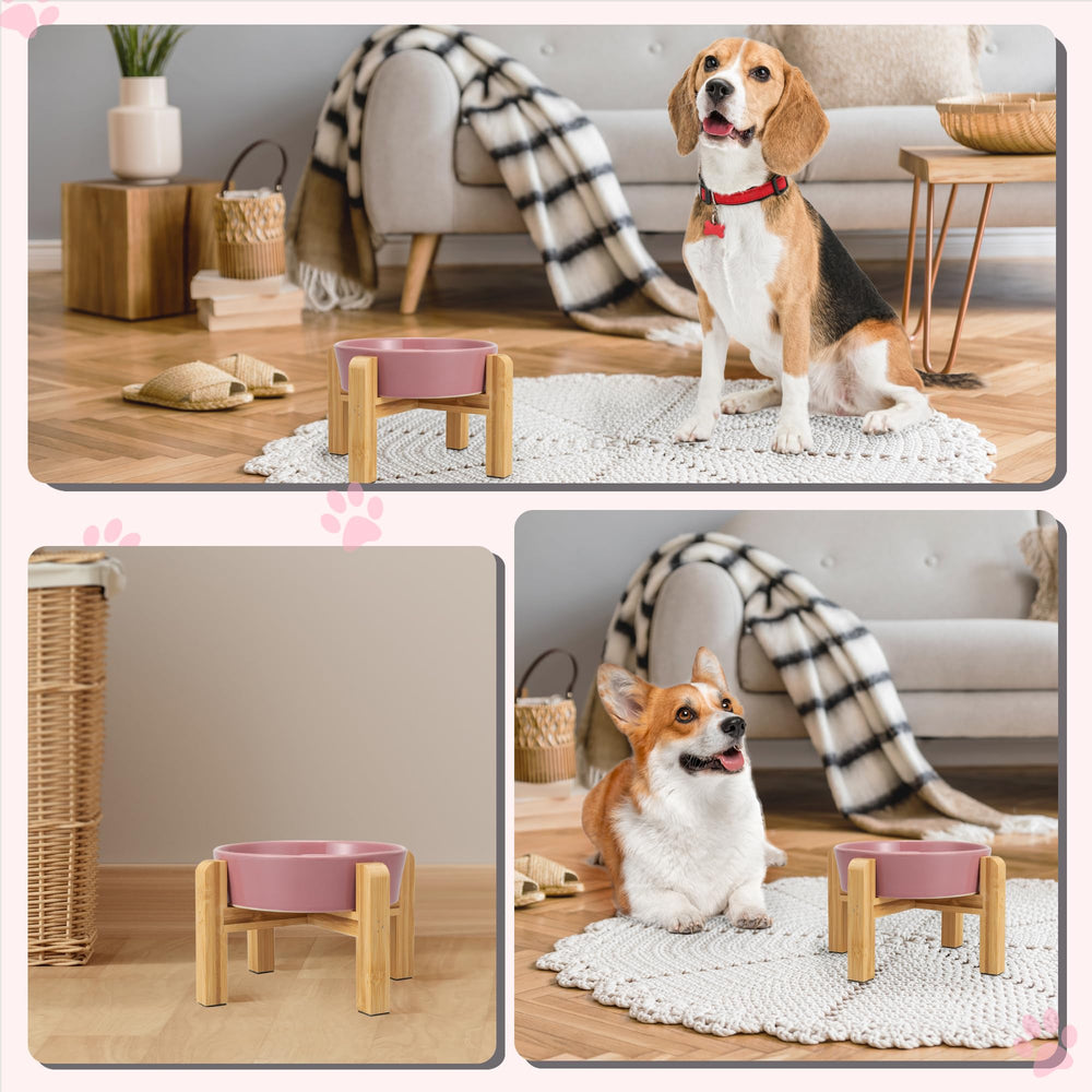 PTOBER ideal for small to medium dogs like beagles and jack russells