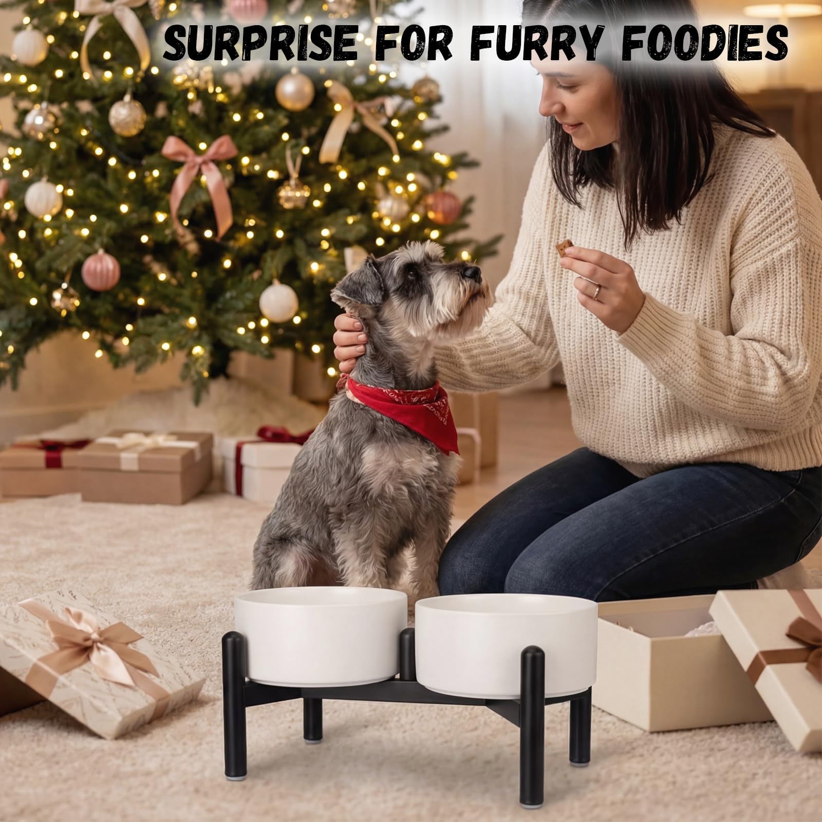 PTOBER suitable for small to medium dogs and versatile use.