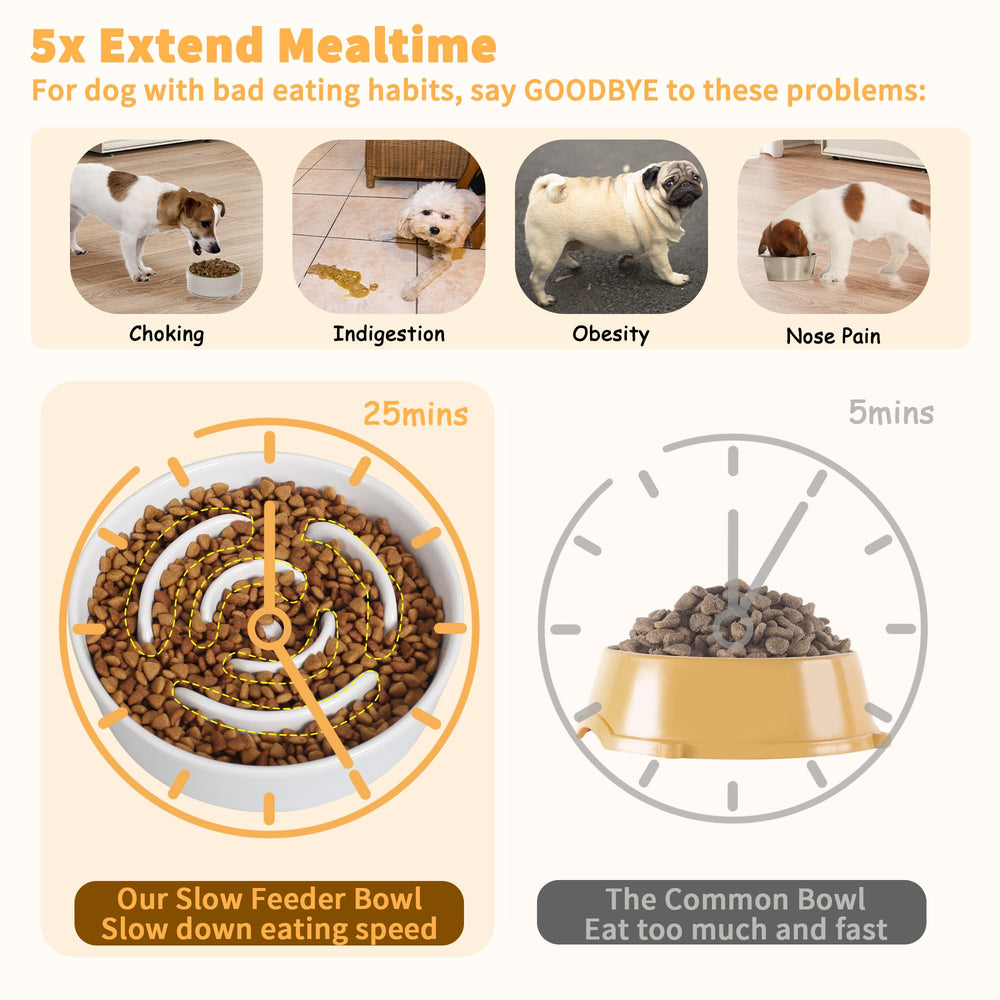 PTOBER smooth glazed ceramic surface is easy to rinse after meals