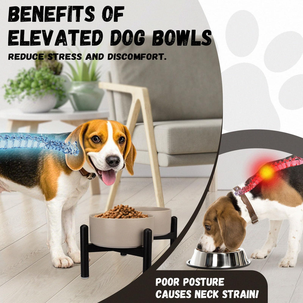 PTOBER stainless steel stand for durable, stable feeding support.
