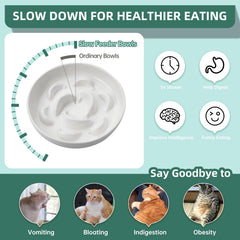 PTOBER whisker-friendly maze bowls reduce whisker contact during meals.