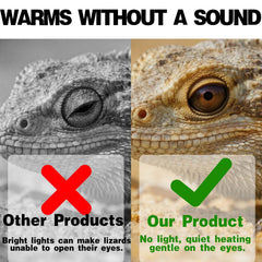 PTSCBS terrarium heat zone delivering consistent warmth.