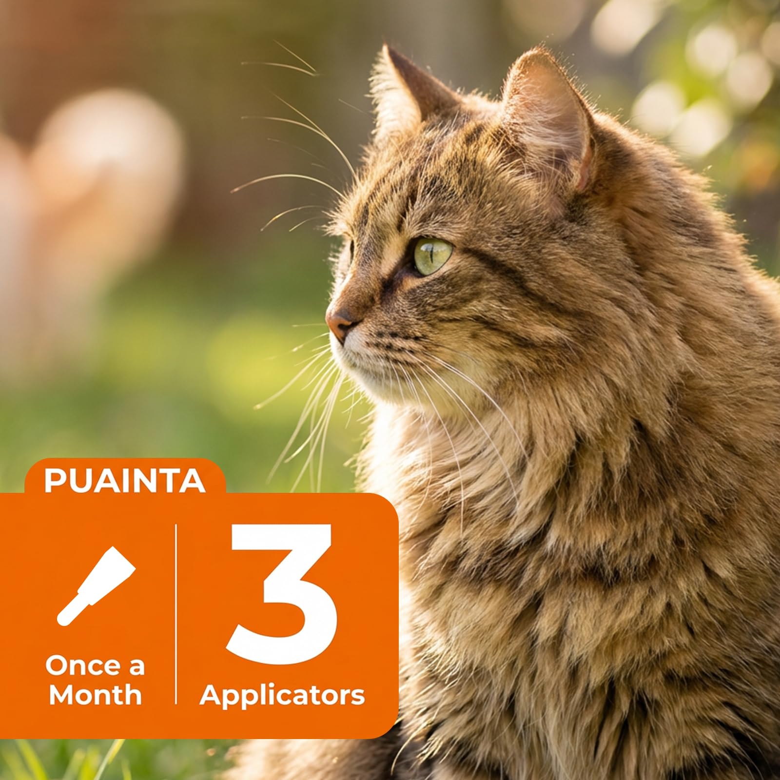 PUAINTA Addcool Plus odorless formula enables cuddle-ready treatment for cats.
