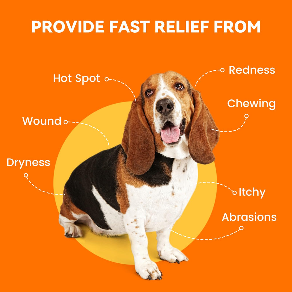 PUAINTA daily-use spray supports comfort for dogs and cats