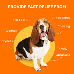 PUAINTA daily-use spray supports comfort for dogs and cats