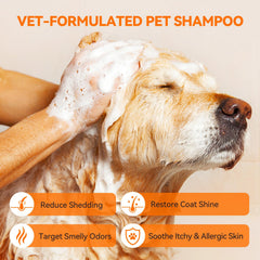 PUAINTA shampoo ingredients tea tree oil and citron for gentle care