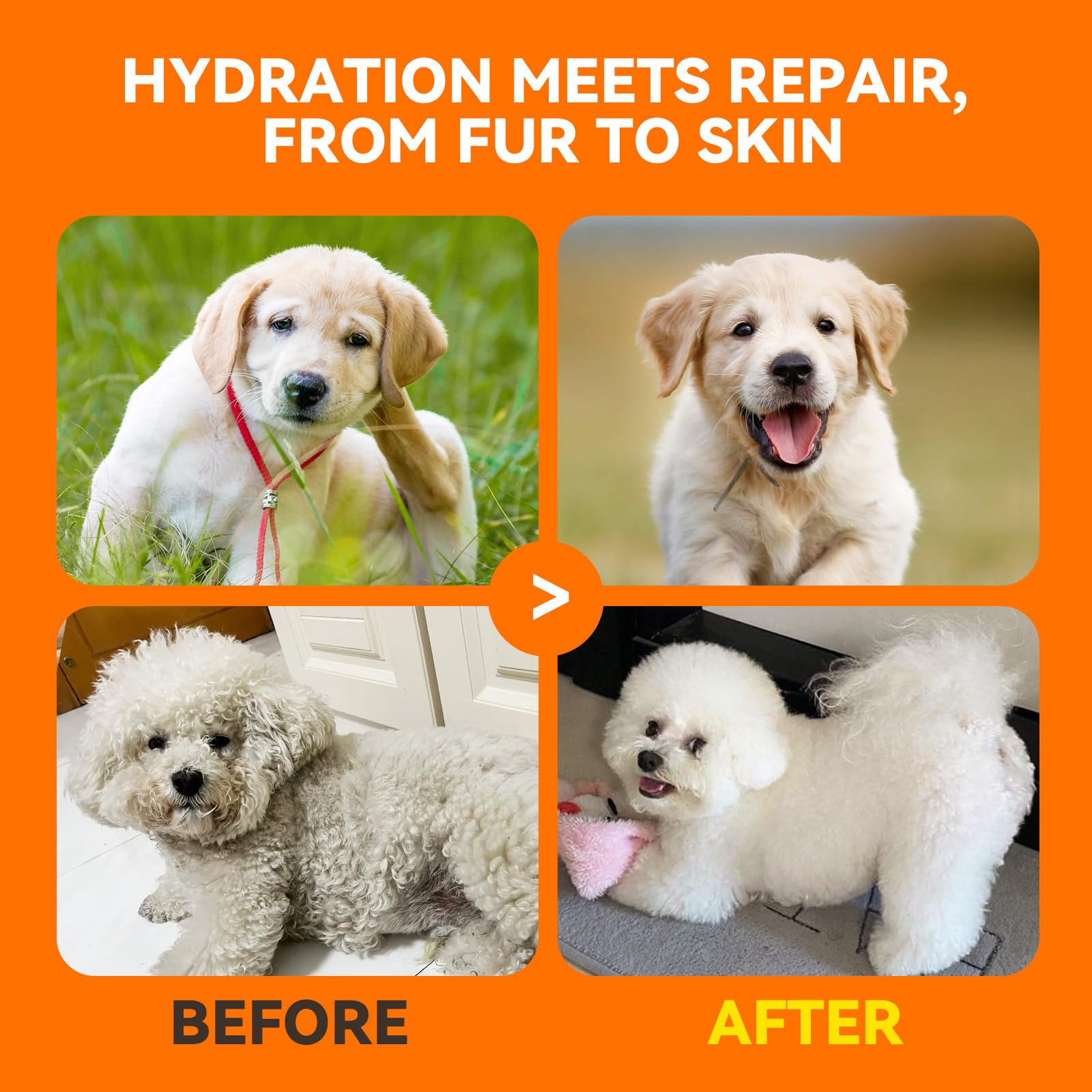 PUAINTA shampoo safe for sensitive skin and all coat types