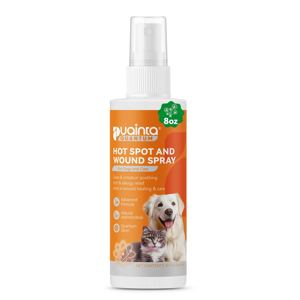 PUAINTA hot spot spray bottle for dogs delivering rapid itch relief.