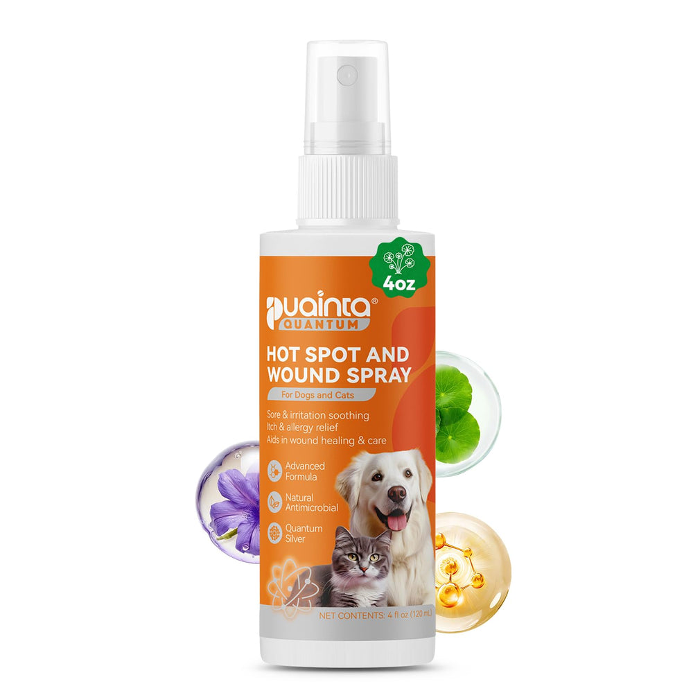 PUAINTA hot spot spray bottle for dogs with soothing formula.