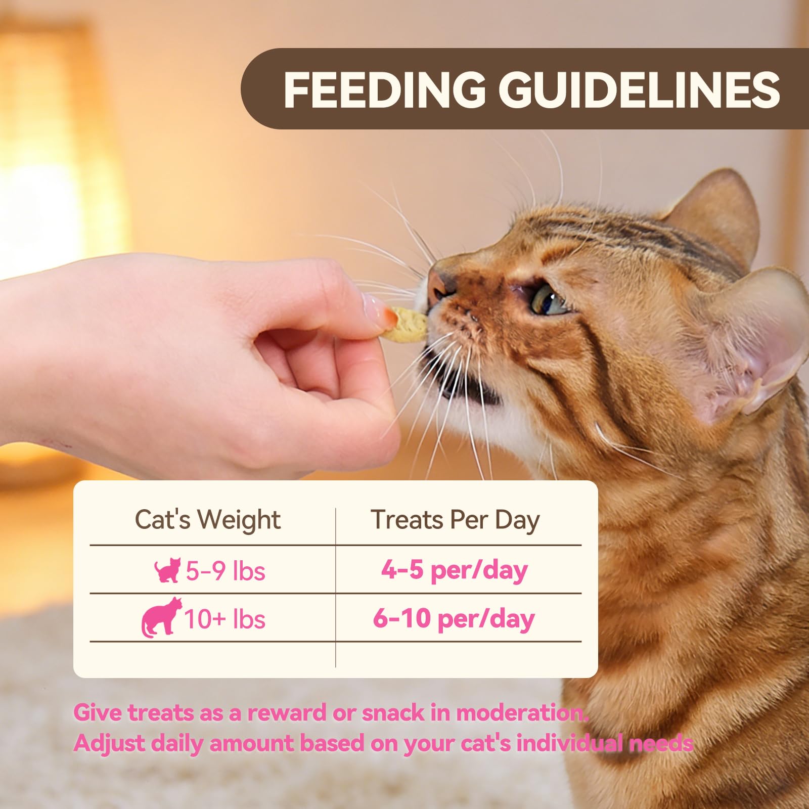 Puddonio Cat Treats bonding time with cat during treat session.