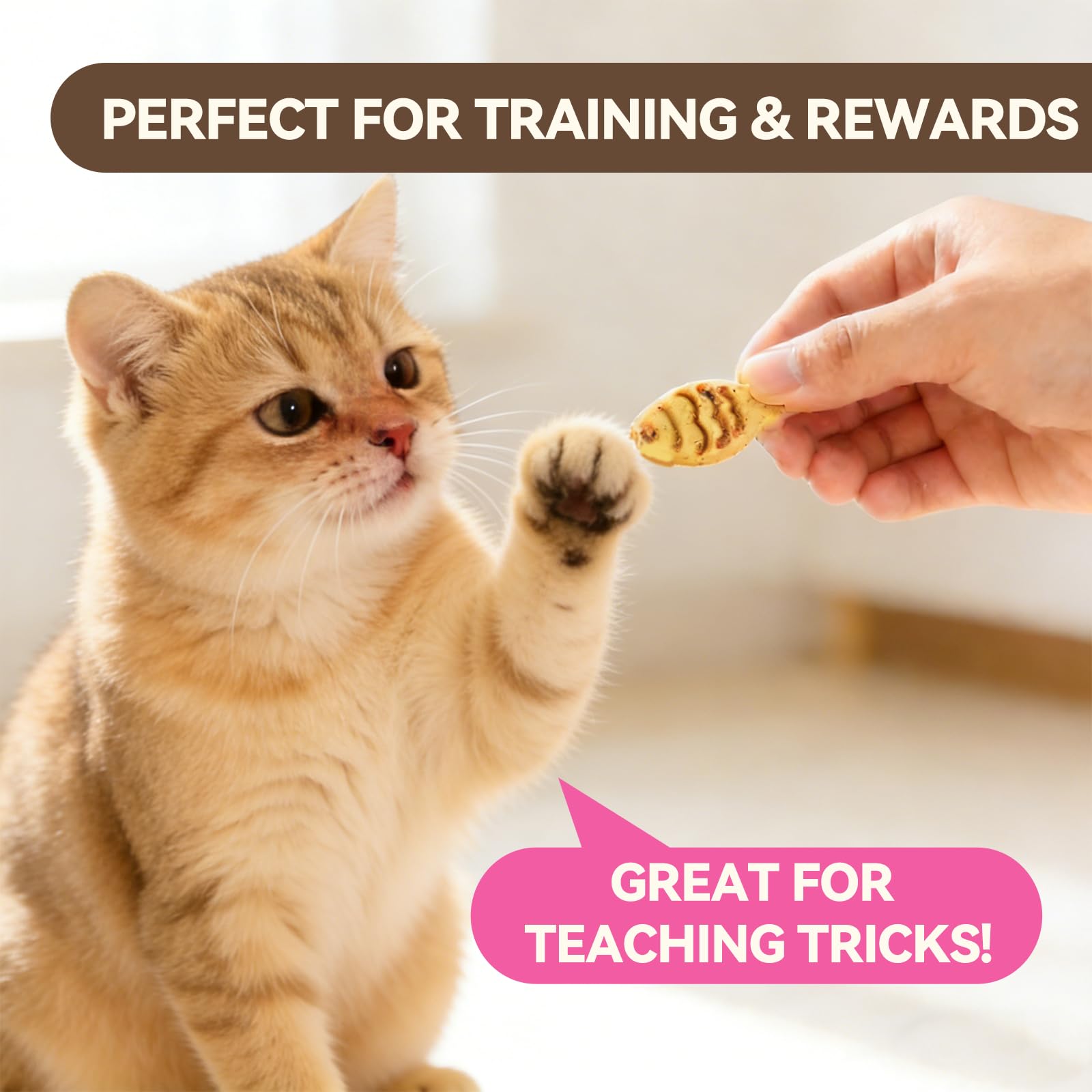 Puddonio Cat Treats packaging 16 oz ready for regular use at home.