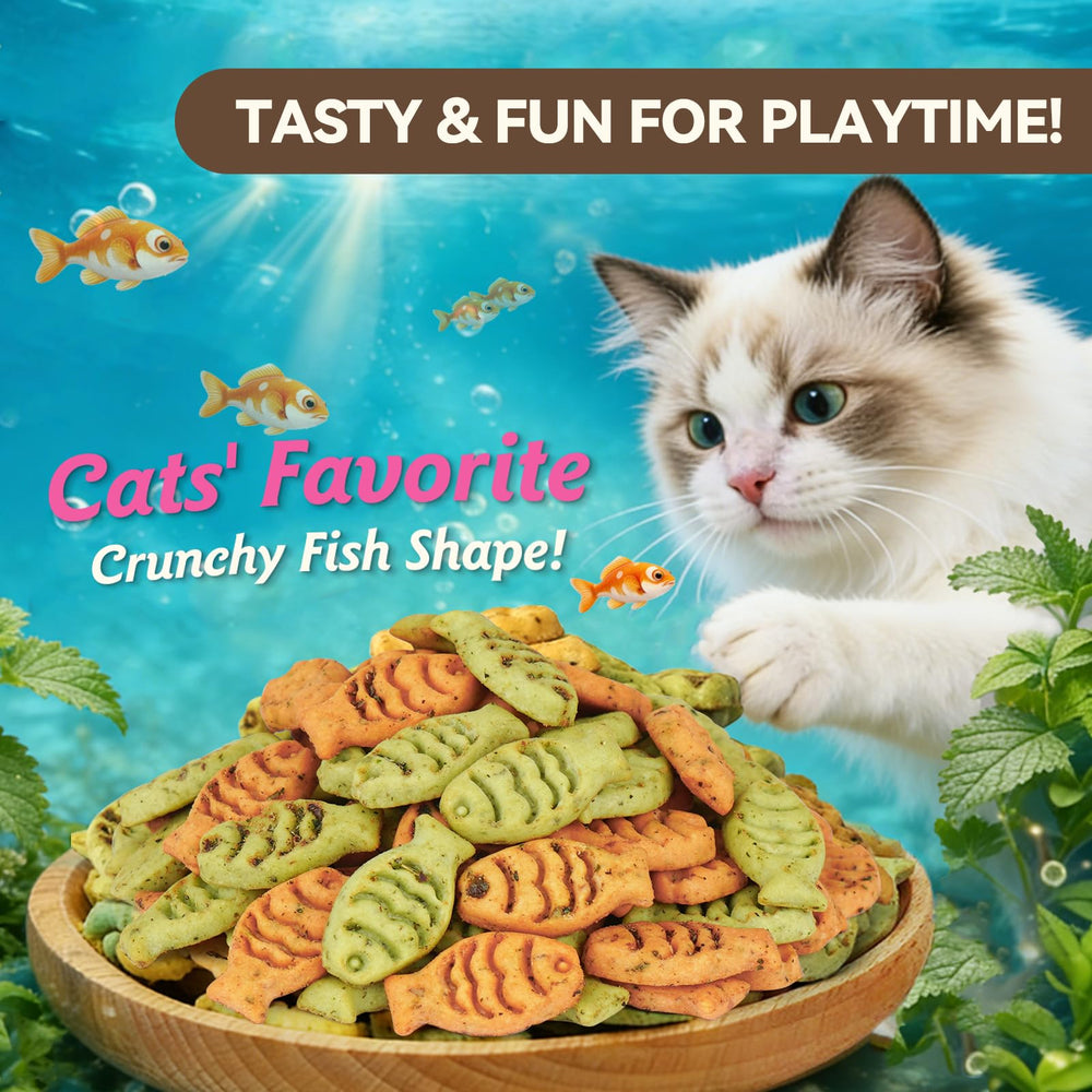 Puddonio Catnip Cat Treats training reward in use during playtime.