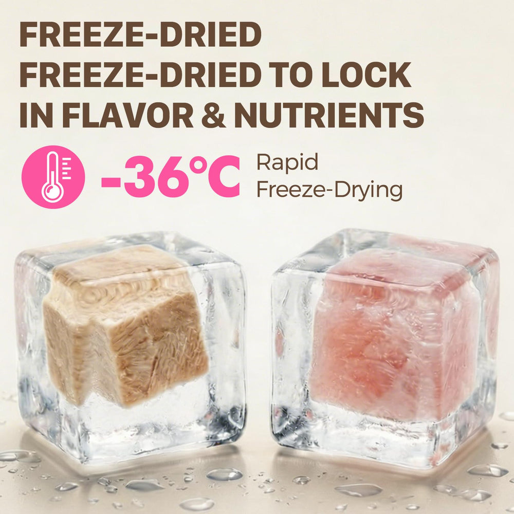 Puddonio chicken breast single-ingredient bite shows real meat flavor for pets.
