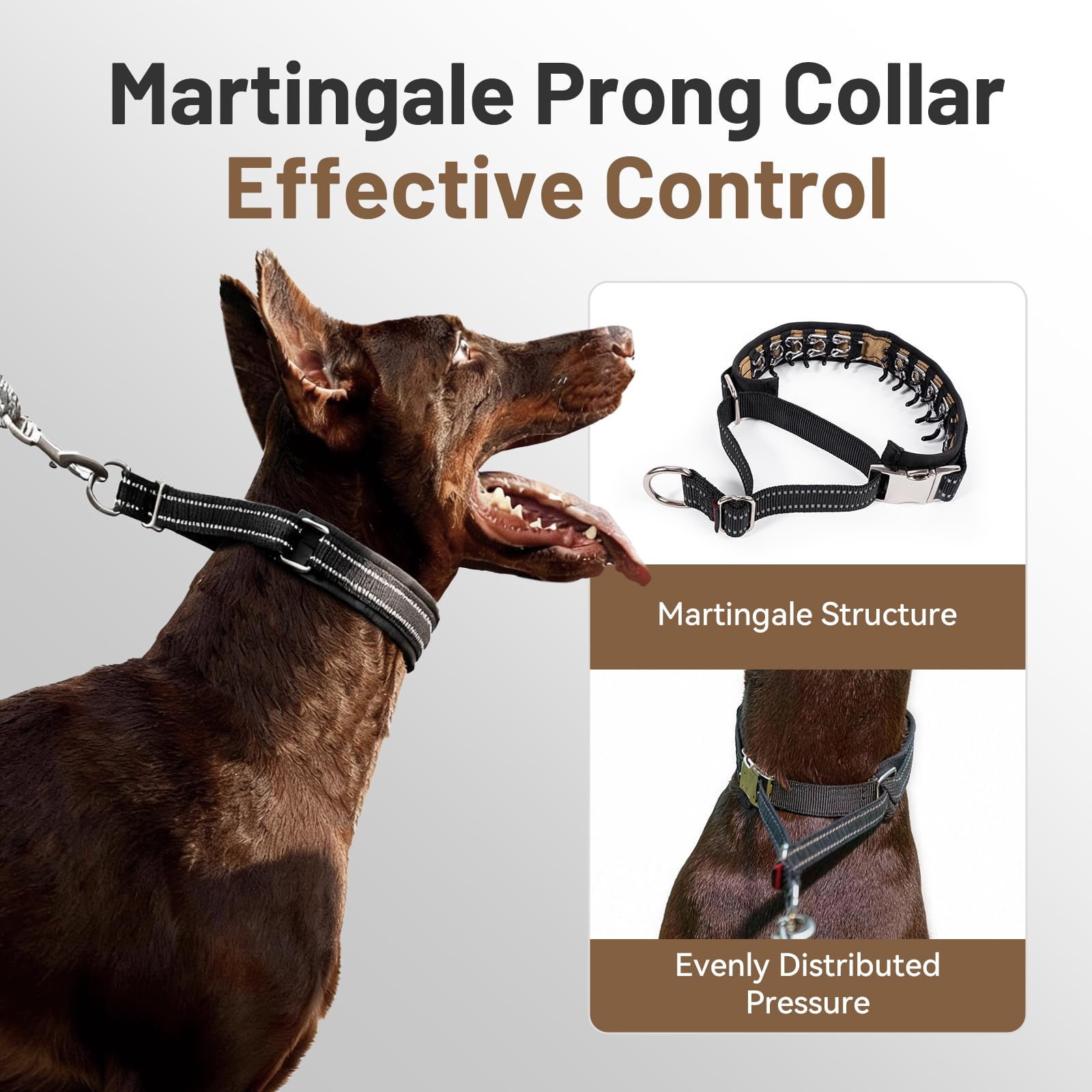 Discreet nylon webbing conceals prongs for confident public training.