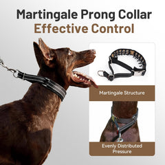 Discreet nylon webbing conceals prongs for confident public training.