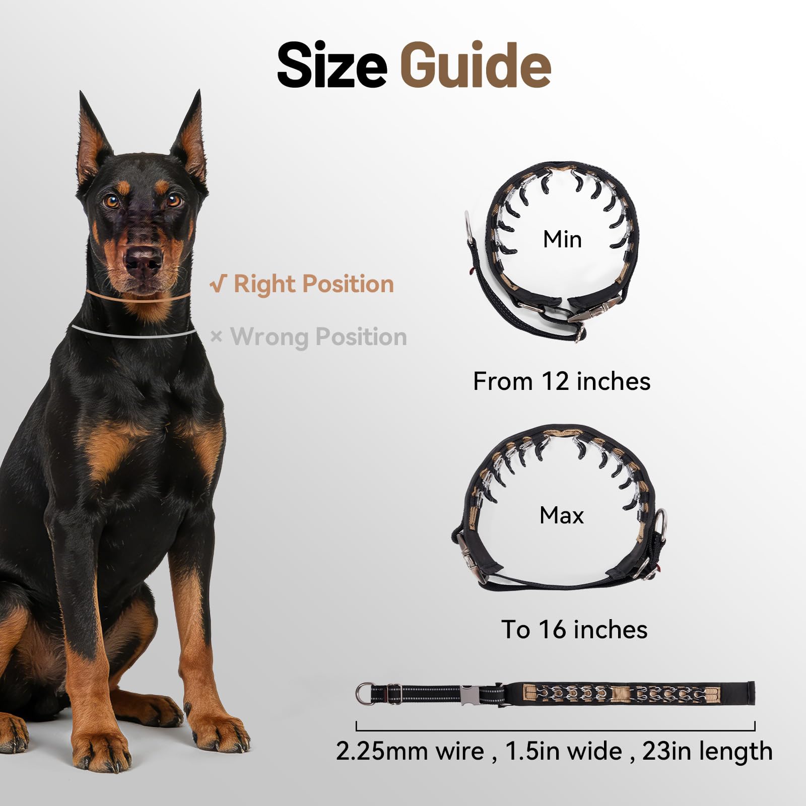 Suitable for medium dogs with moderate activity.
