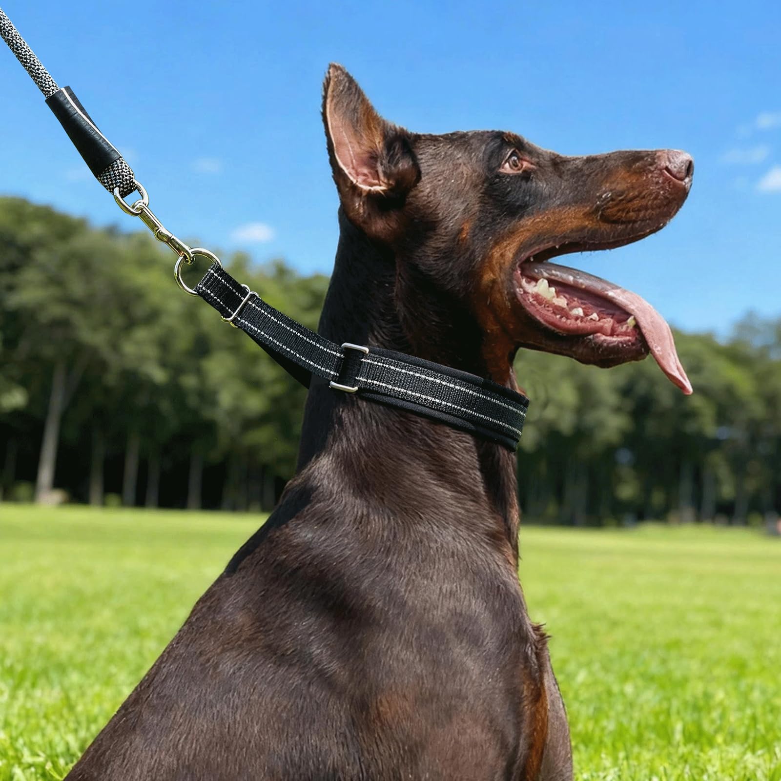 Supports gentle guidance without heavy force during lively strolls.