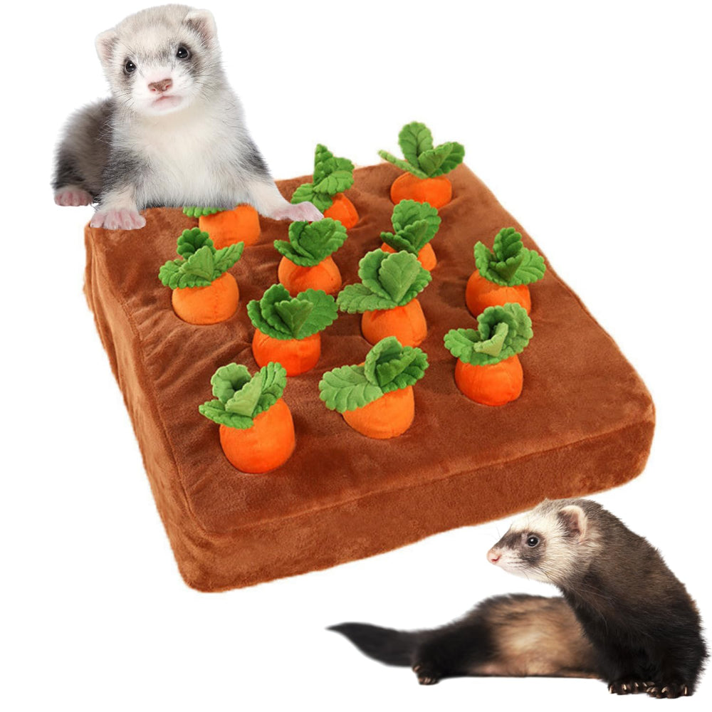 PUMEXFE 12 carrot foraging mat invites sniffing and interactive play for small pets.