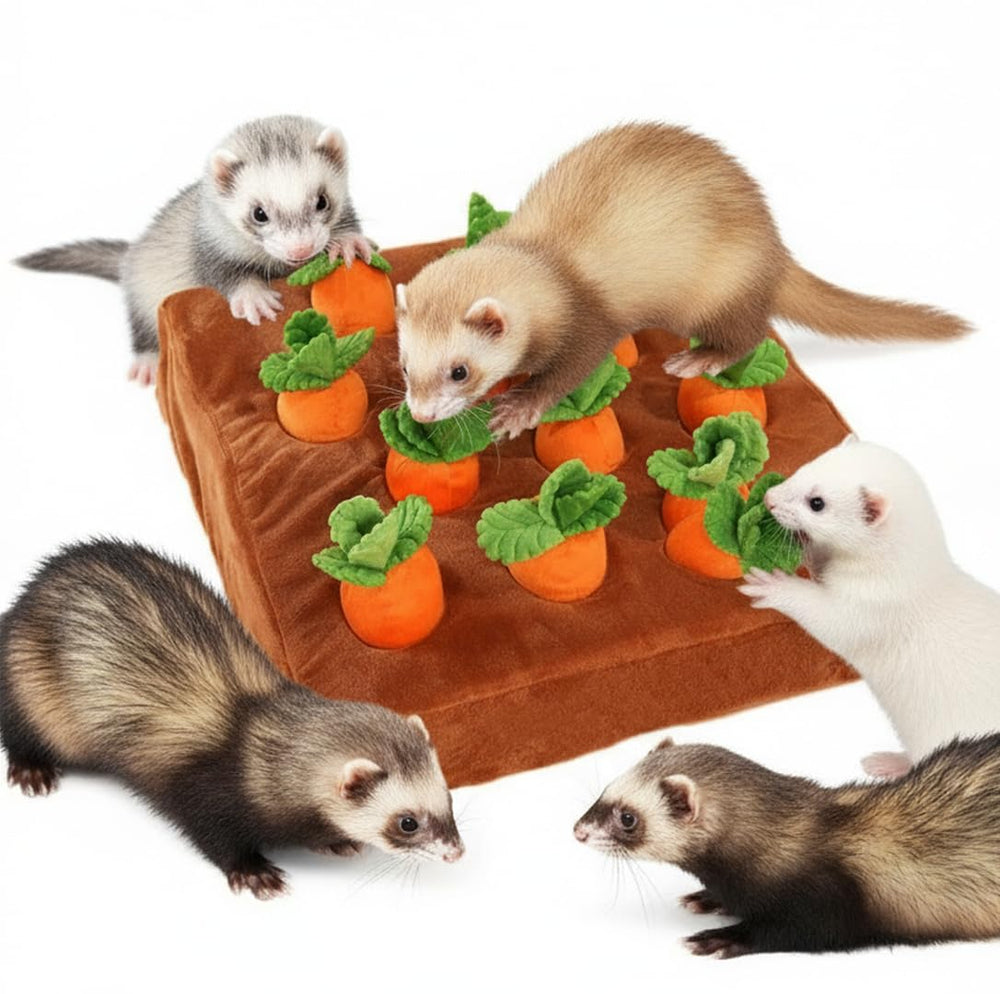 PUMEXFE multi species entertainment toy suitable for several small pets.