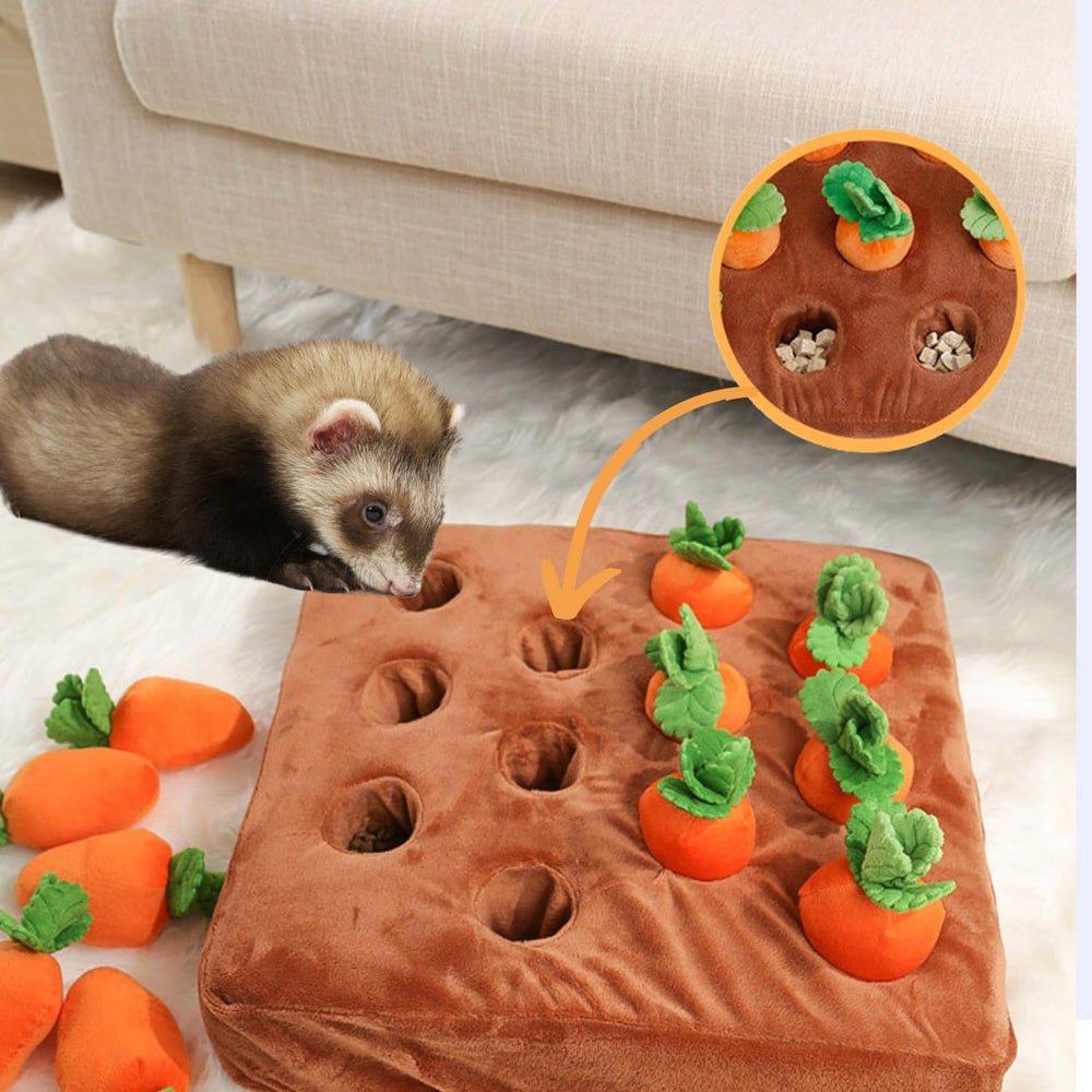 PUMEXFE small pet enrichment design keeps ferrets and rabbits entertained.