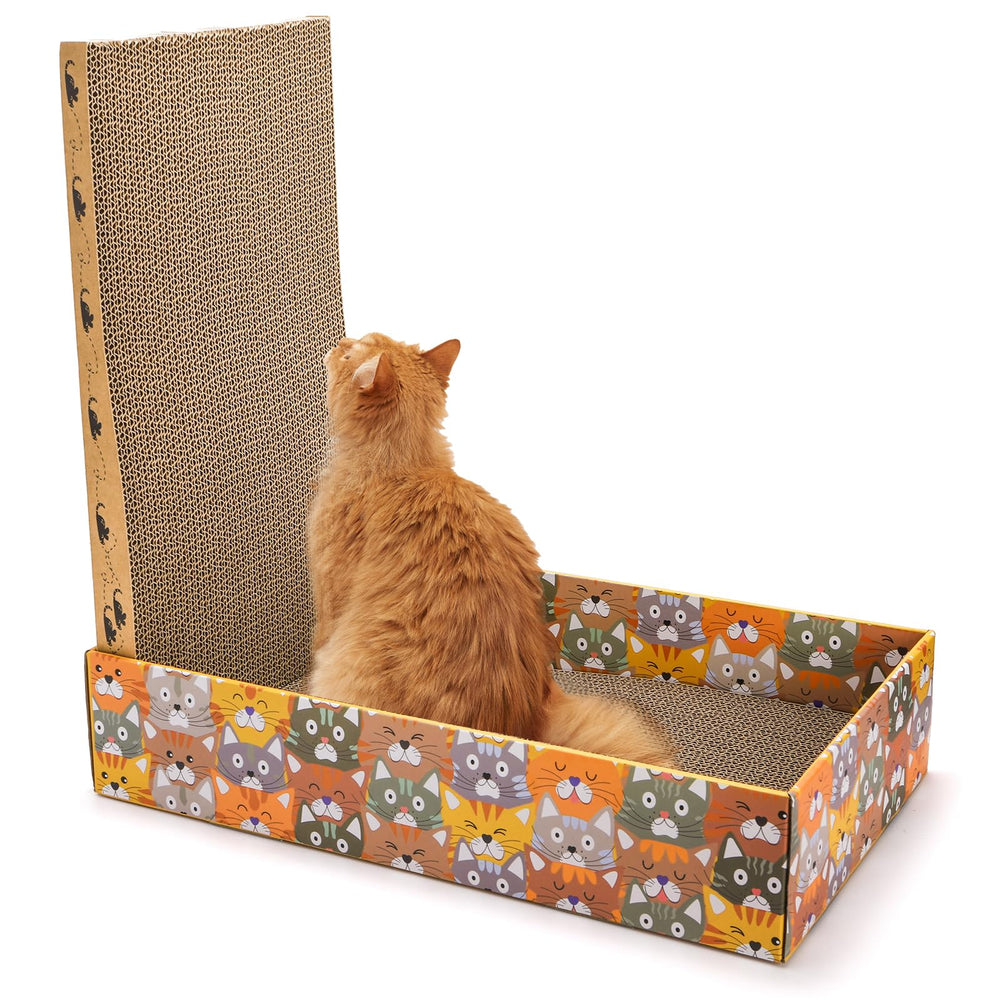 Pumtus interactive kit supports indoor cats with cozy lounges.
