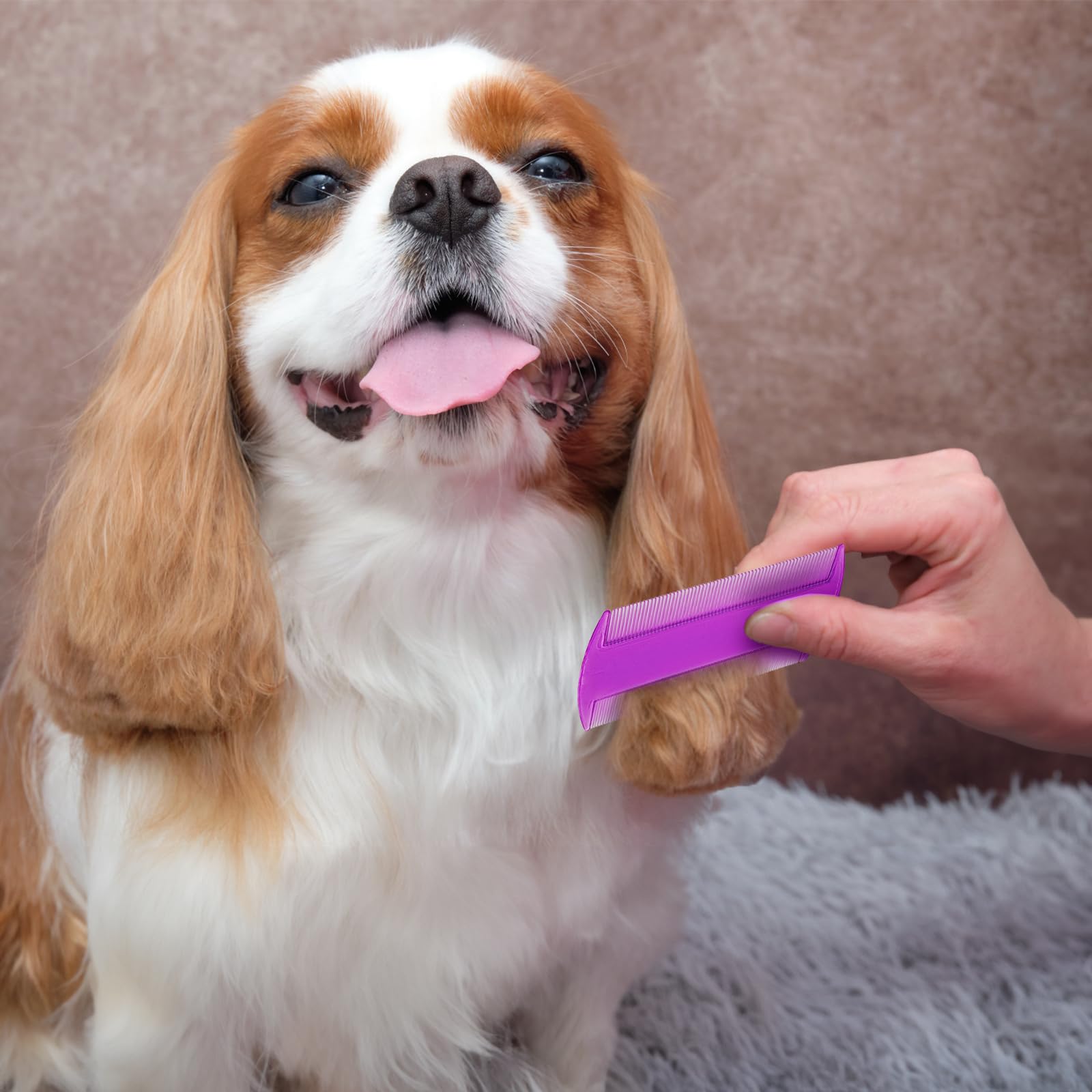 Pumtus small-pet friendly comb for cats, dogs, rabbits.