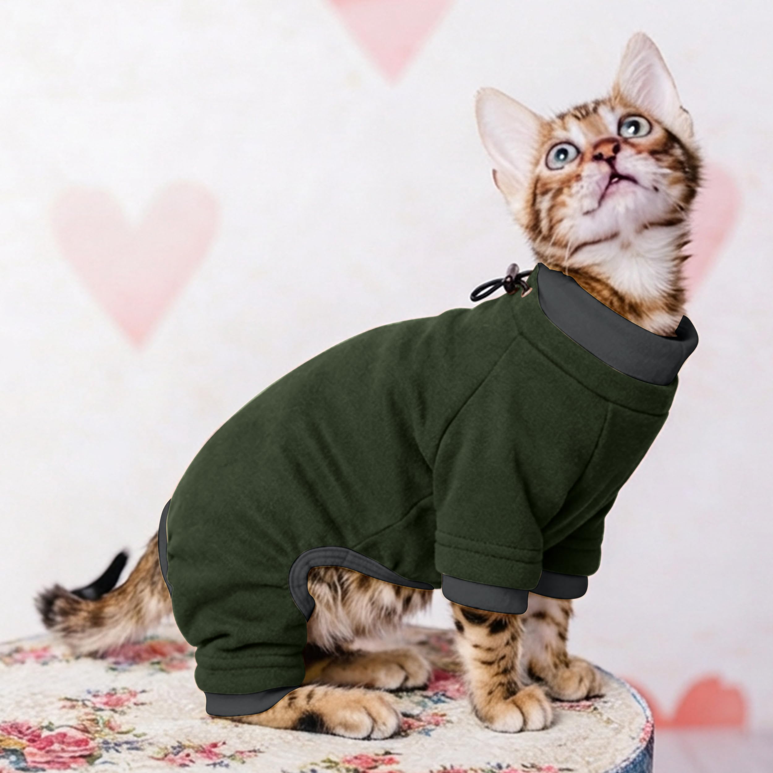 PUMYPOREITY cat lounging in soft sweater for comfortable everyday wear.