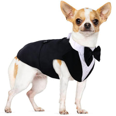 PUMYPOREITY small dog bowtie tuxedo vest front view for stylish wedding or party wear