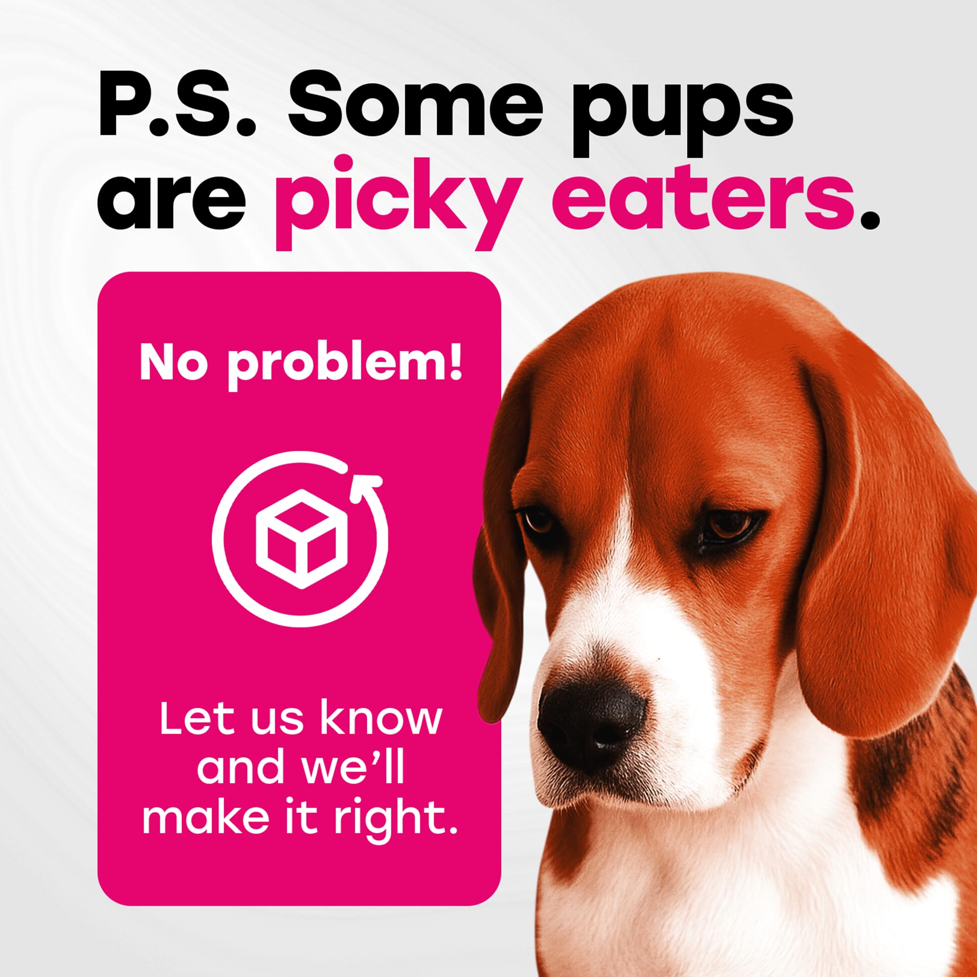 Pup Choice 24in1 provides energy and immunity support for dogs.