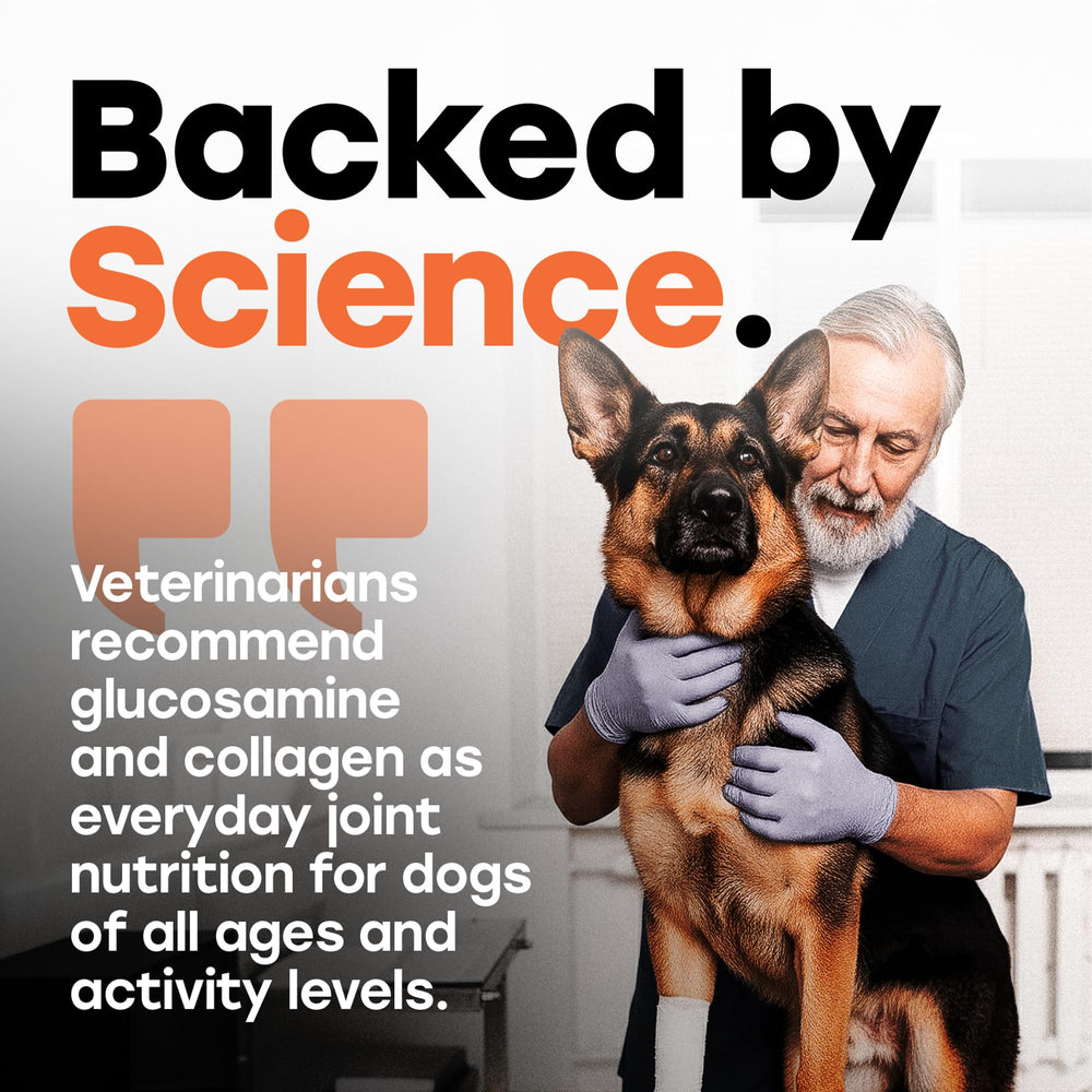 Beef-flavored Pup Choice chews appealing to dogs
