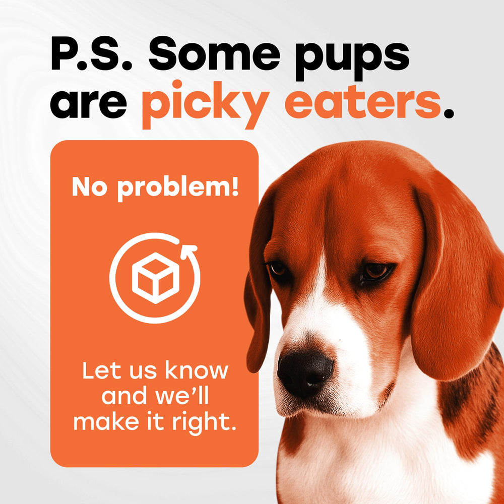 Dosing chart for Pup Choice chews by dog weight