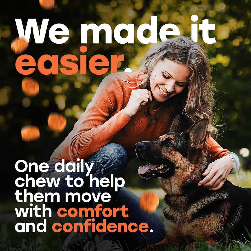 Large breed dog benefiting from Pup Choice glucosamine chondroitin formula