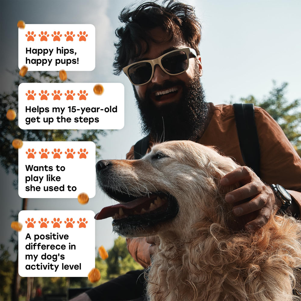Pup Choice packaging showcasing convenient soft-chew format