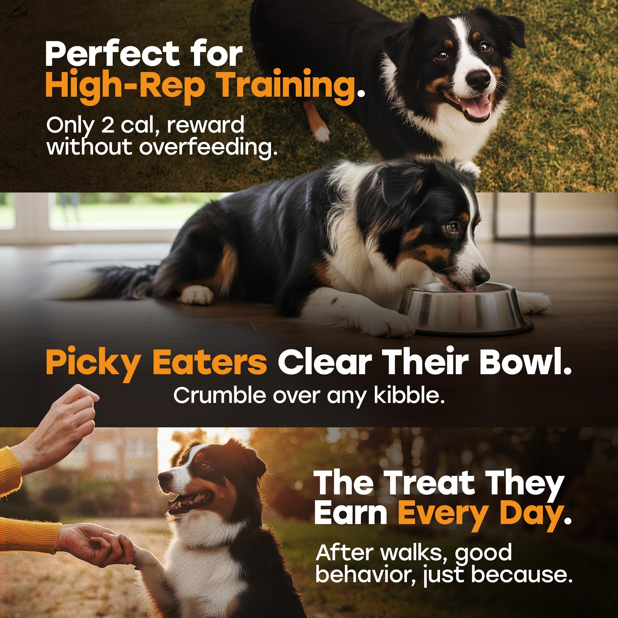 Pup Choice made-in-usa-small-batches label.
