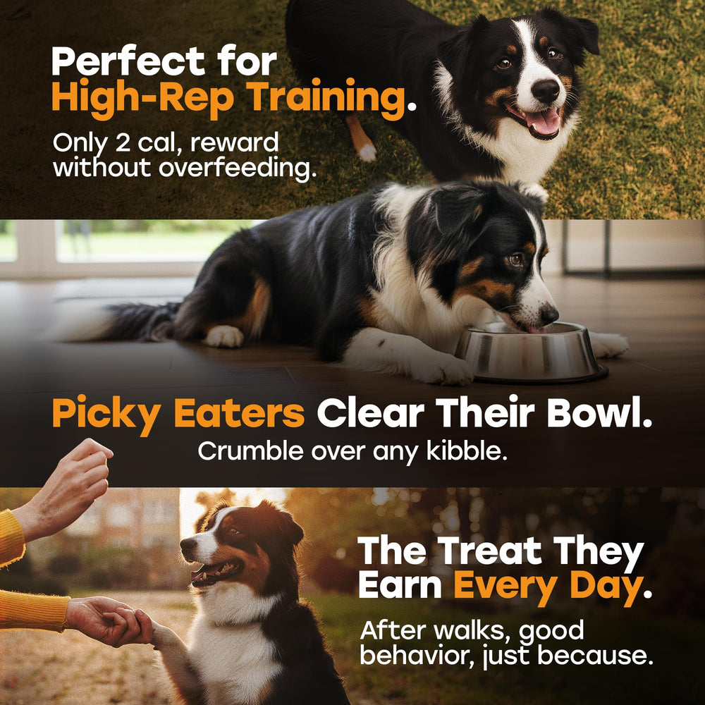 Pup Choice made-in-usa-small-batches label.