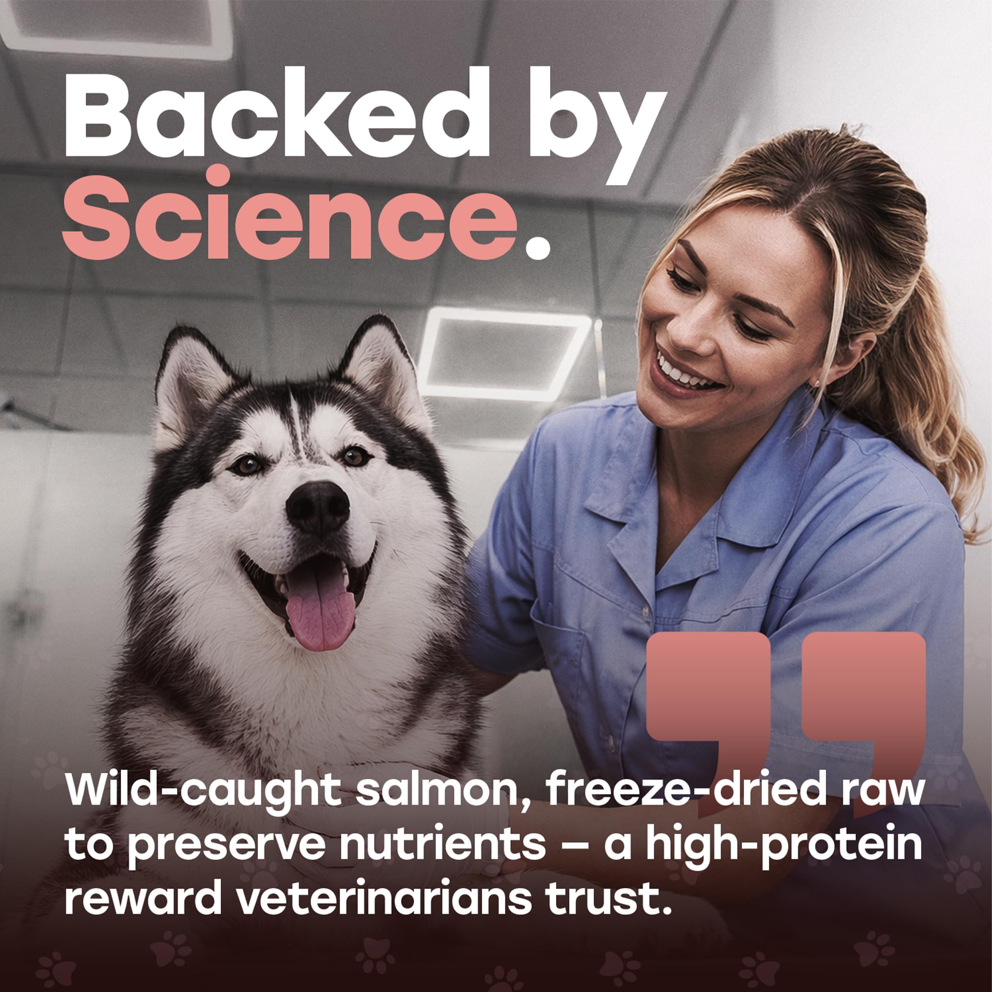 Pup Choice Omega-3 rich salmon supports healthy skin and coat.