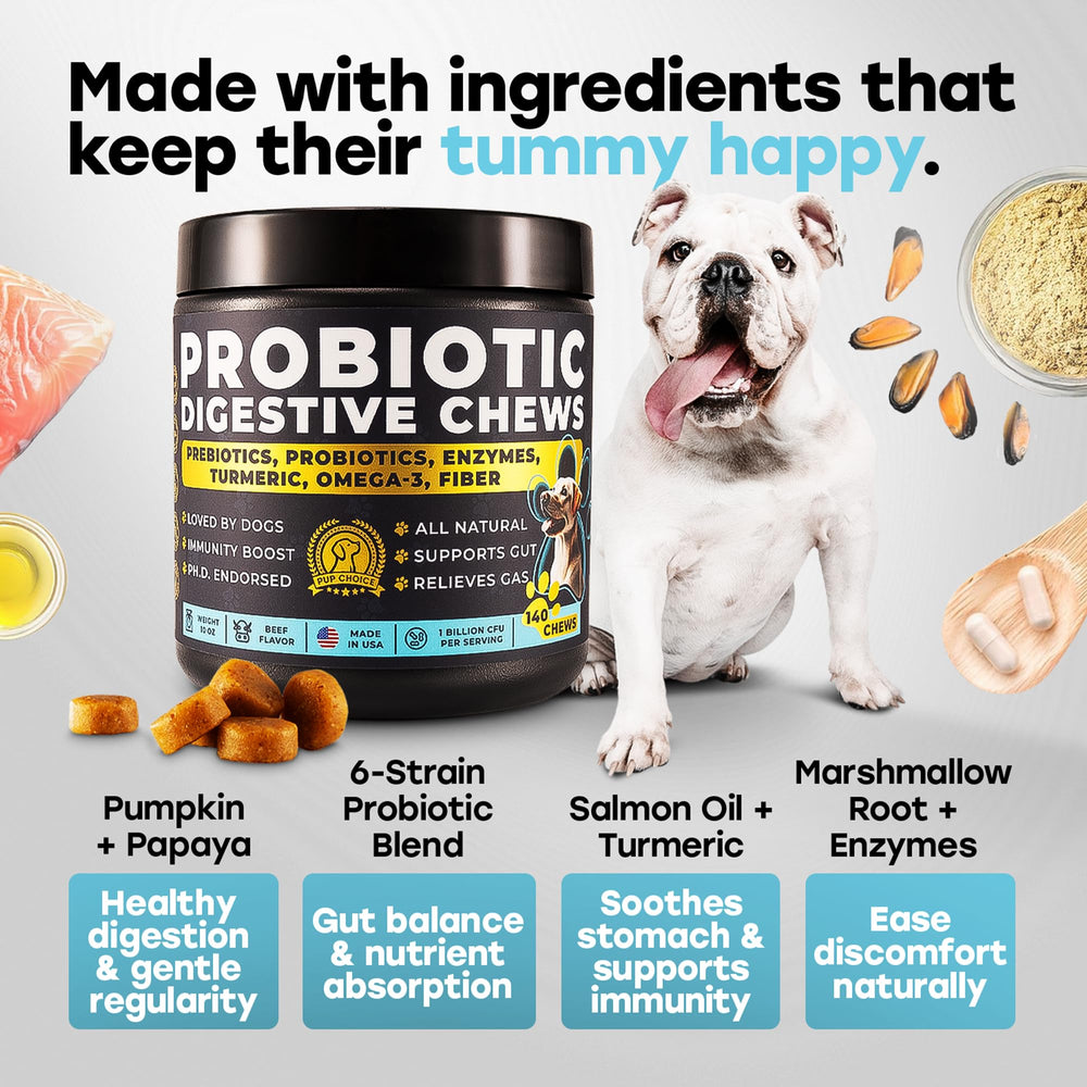 Pup Choice Probiotics beef-flavored chews for easy daily administration.