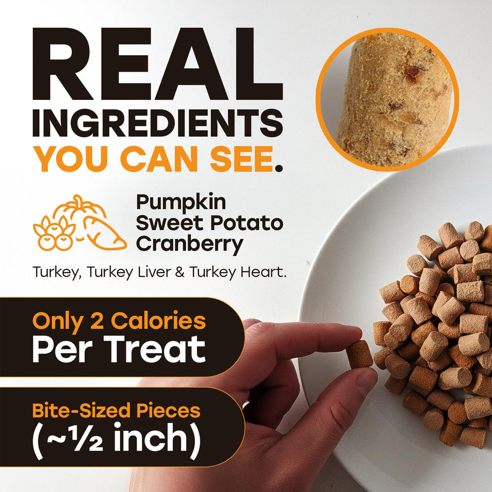 Pup Choice pumpkin-sweet-potato topper over bowl.