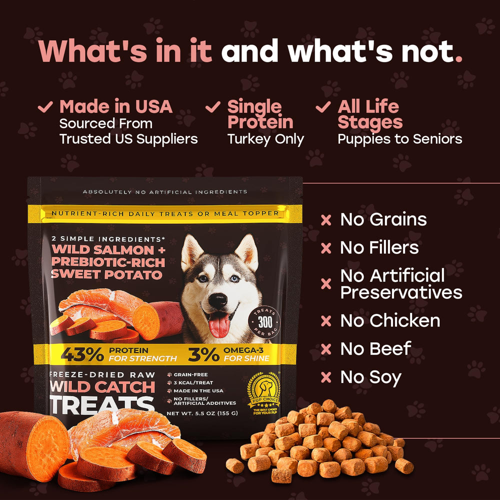 Pup Choice Training rewards held for quick guidance.