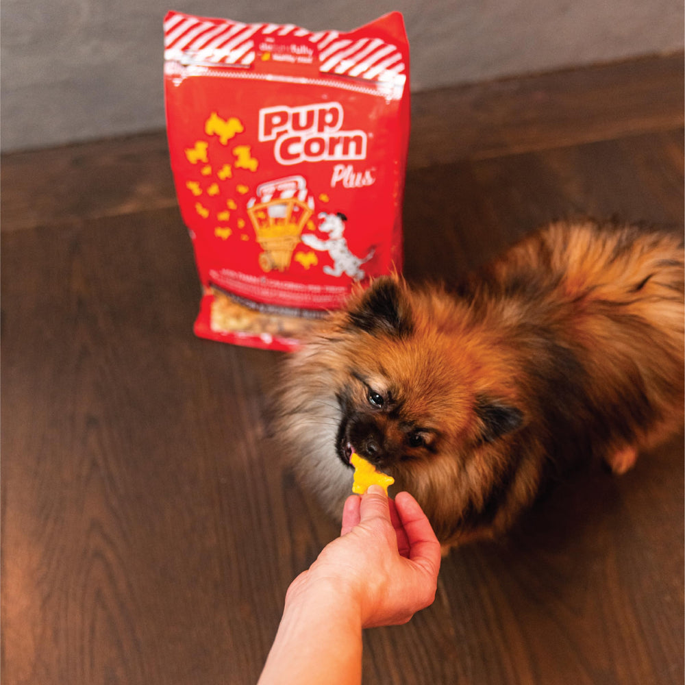 Assorted Pup Corn Plus flavors including Chicken & Cheddar, Bacon & Beef, and Salmon.