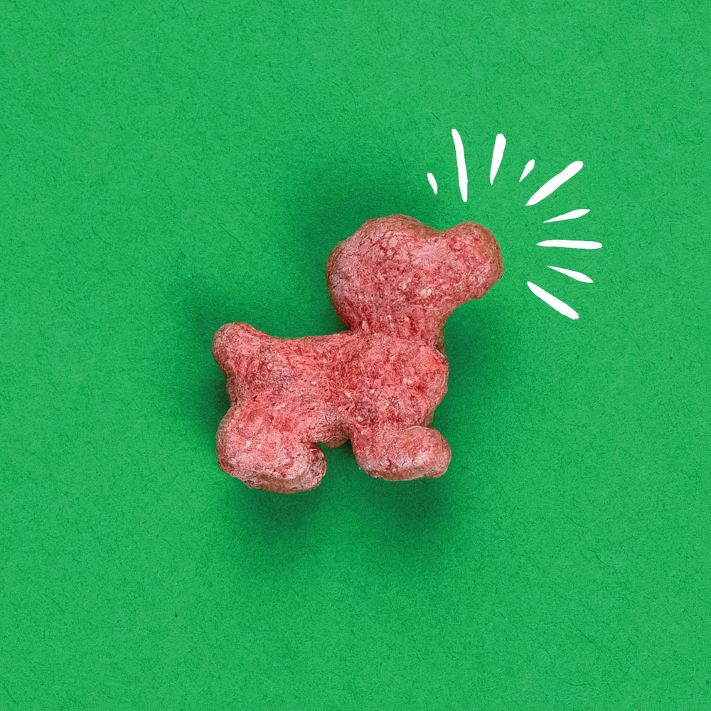 Pup Corn Plus treats closeup showing crunchy texture