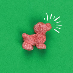 Pup Corn Plus treats closeup showing crunchy texture